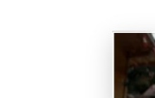 Sample memory thumbnail — outdoor portrait