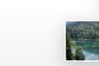 Sample memory thumbnail — pet close-up